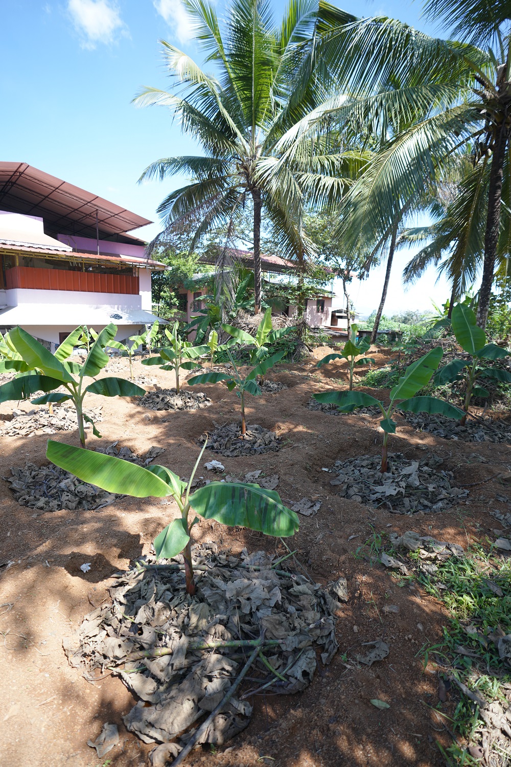gallery2